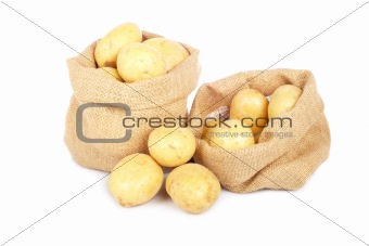 Two burlap sacks with potatoes