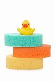 Three sponges and rubber duck