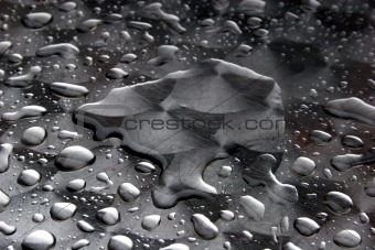 Rainy summer - water drops at a restaurant table