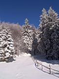 Winter in Ciucas Mountains