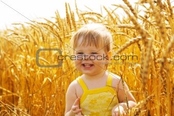 Kid in wheat 