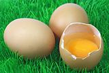 Decorative brown eggs