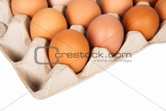 eggs in the package