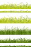 green grass pattern on white background