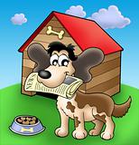 Dog with news in front of kennel