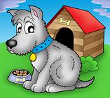 Grey dog in front of kennel