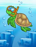 Sea turtle snorkel diver underwater