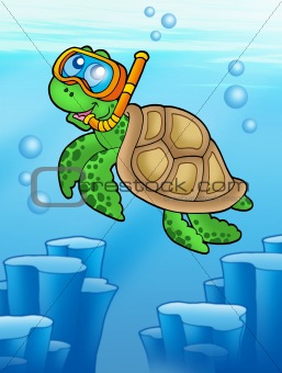 Sea turtle snorkel diver underwater