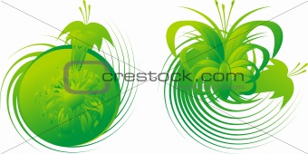 vegetable decorative pattern on a white background