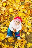 Baby in autumn leaves