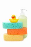 Rubber duck, soap and sponges