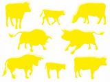 Cow, bull, and calf in silhouette
