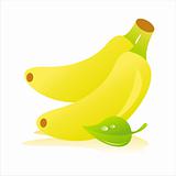 bananas illustration