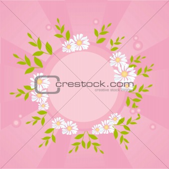 floral frame with chamomiles