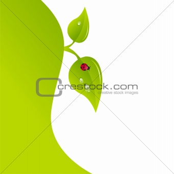 background with ladybird on leaf