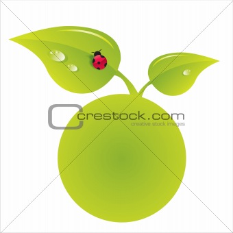 realistic frame with ladybird on leaf