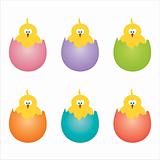 set of 6 easter eggs with chickens