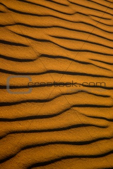 Ripples of sand