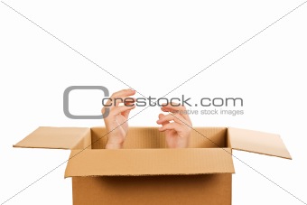 Hands inside of the box
