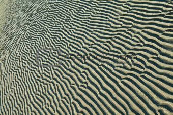 sand ripples