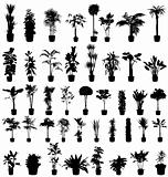 plants silhouettes collection