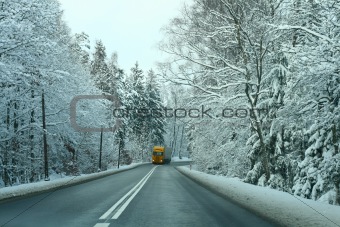 Road in snowy forest