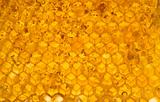 Honey in honeycomb close-up background