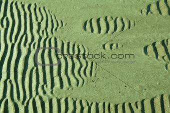 sand ripples