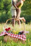 couple picnicking