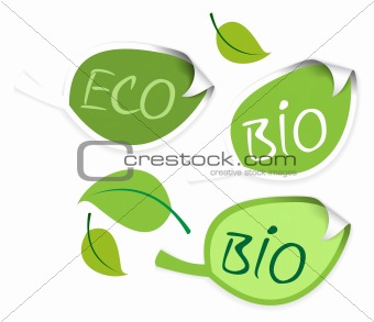 Set of leaf labels 
