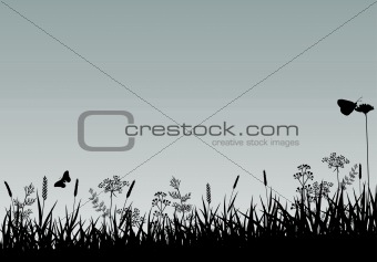 Abstract Nature background