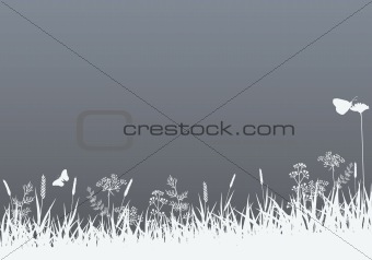 Abstract Nature Background