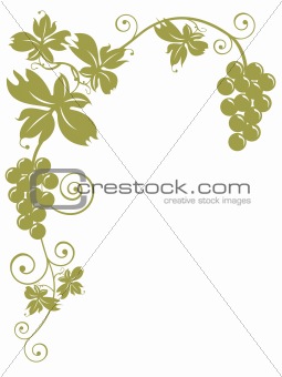 Bunches Of Grapes - with clipping path