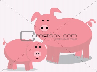cute pig illustration 