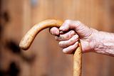 hand of an old peasant woman holding a walking stick
