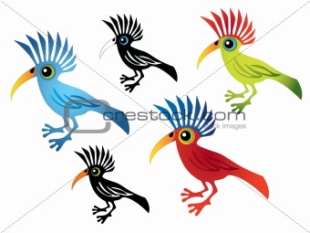 color parrot