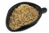 scoop of long grain brown rice