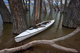 white canoe on lake with submerged forest