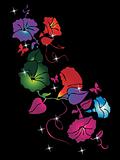 black background with colorful flower illustration