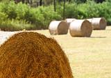 closeup of hay bale