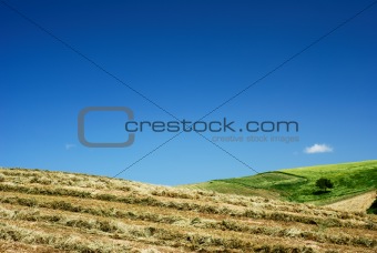 Hay And Blue Sky