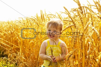 Joyful kid in wheat field