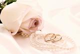 Rose, pearls and wedding rings