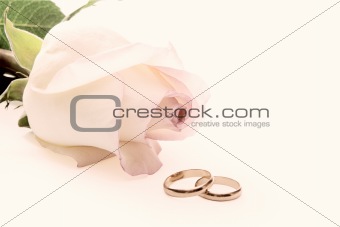 Rose and wedding rings