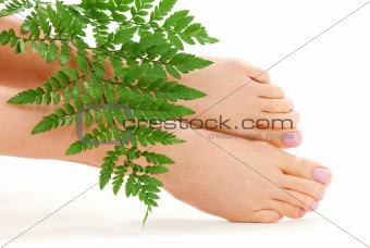 female feet with green leaf