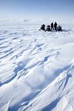 Snowmobile Expedition