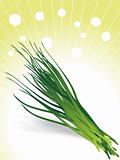 bunch of chives illustration
