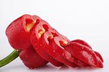 Red, sliced paprika