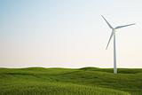wind turbine on green grass field