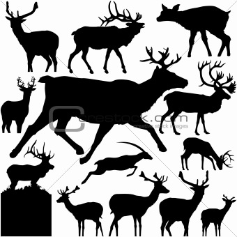 Vectoral Deer Silhouettes